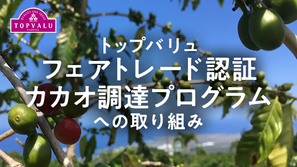 トップバリュフェアトレード認証への取り組み 地域と地球に貢献します。トップバリュは開発途上国の発展に寄与するためにフェアトレード商品を取り扱っています。