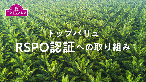トップバリュRSPO認証への取り組み 持続可能なパーム油の生産と利用。トップバリュは森林破壊の防止や生産者の人権と労働環境を守る認証制度に参加しています。