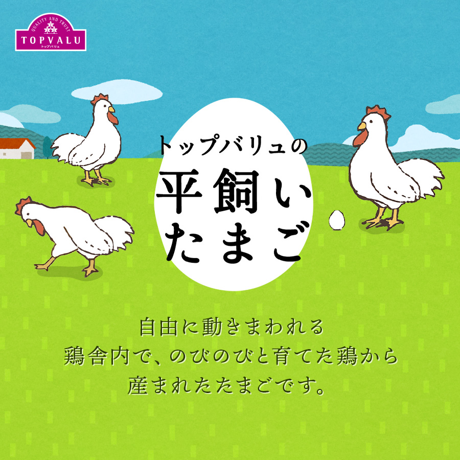トップバリュ　平飼いたまご