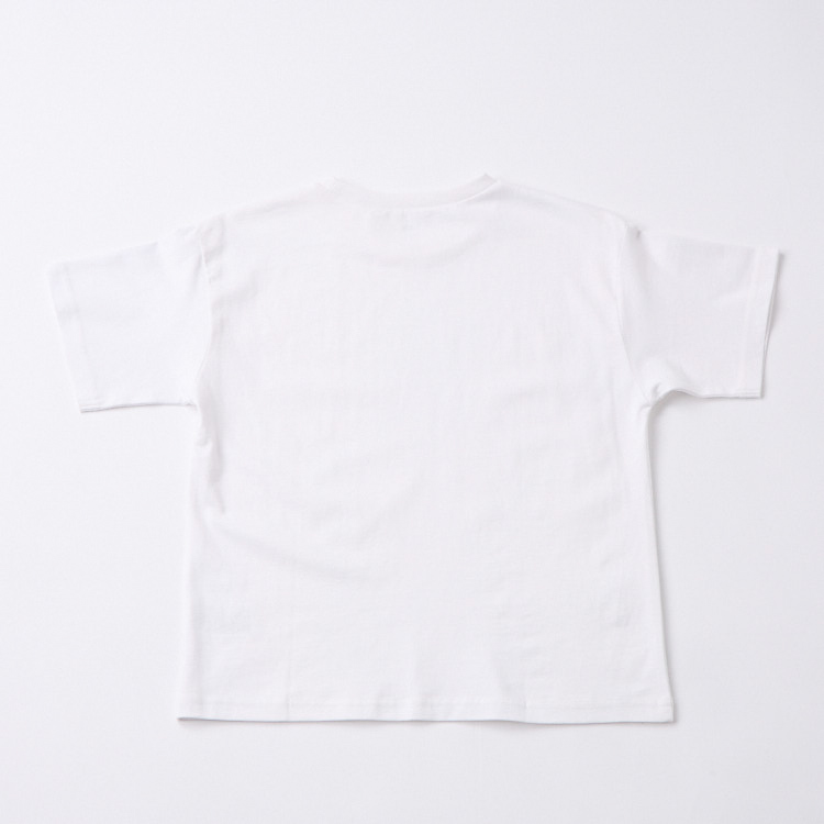 オーガニックコットン 無地半袖Tシャツ 商品画像 (1)