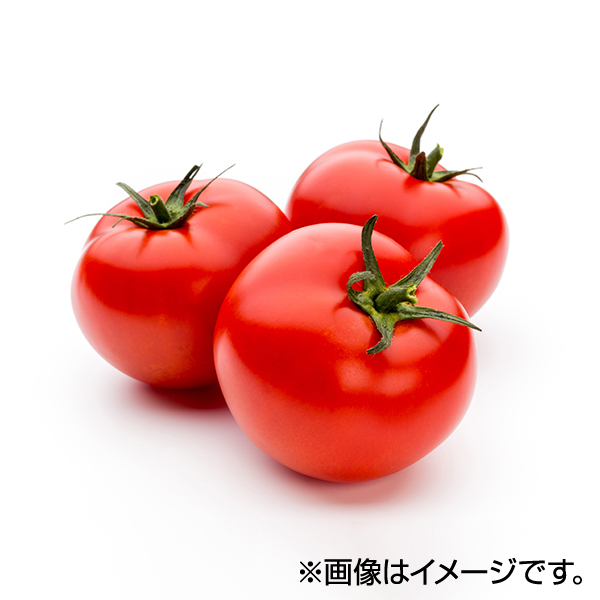 減の恵み トマト 商品画像 (メイン)