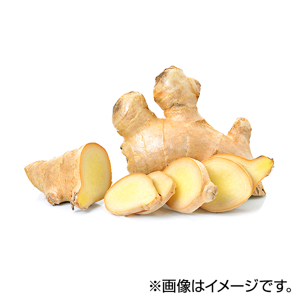 ショウガ 商品画像 (メイン)