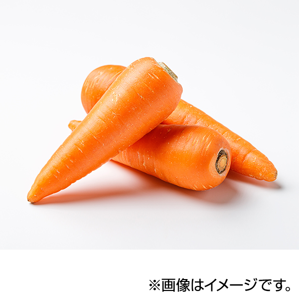 にんじん 商品画像 (メイン)
