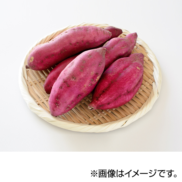 さつまいも 商品画像 (メイン)