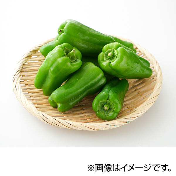 オーガニック 島根県産 ピーマン 商品画像 (メイン)