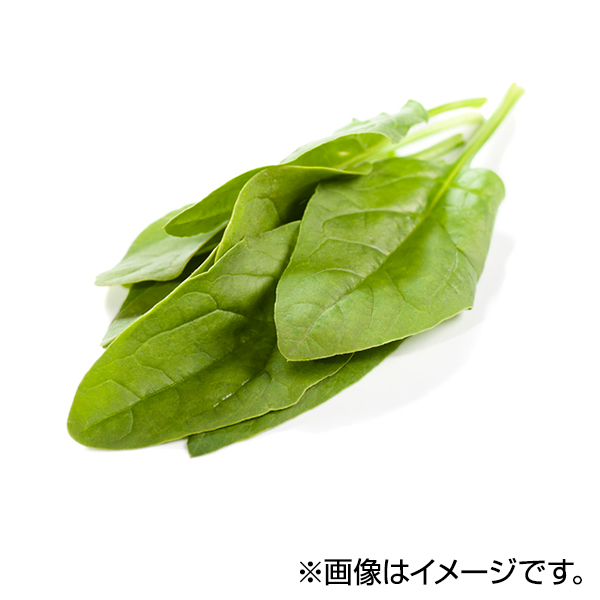 オーガニック 島根県産 ふだん草(山ほうれん草) 商品画像 (メイン)