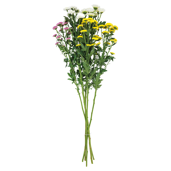 ベトナム産スプレーマムミックス 商品画像 (3)