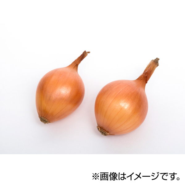 北海道産・たまねぎ(早生) 商品画像 (メイン)