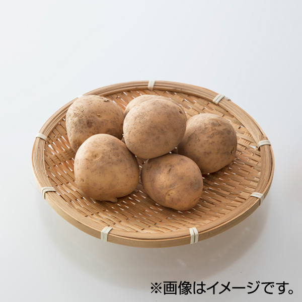 じゃがいも 商品画像 (メイン)