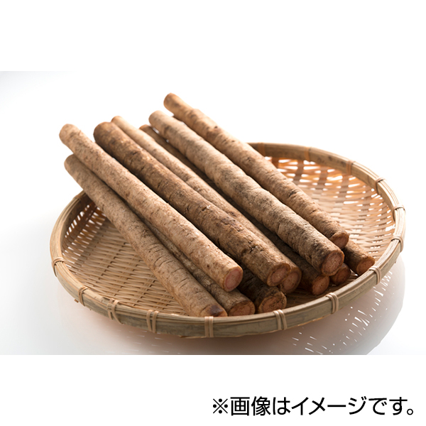 青森県産・ごぼう 商品画像 (メイン)