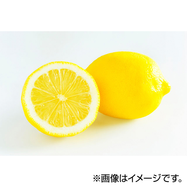 熊本県産・レモン 商品画像 (メイン)
