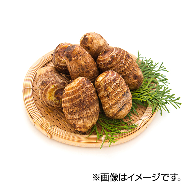 さといも 商品画像 (メイン)