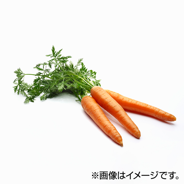 にんじん 商品画像 (メイン)