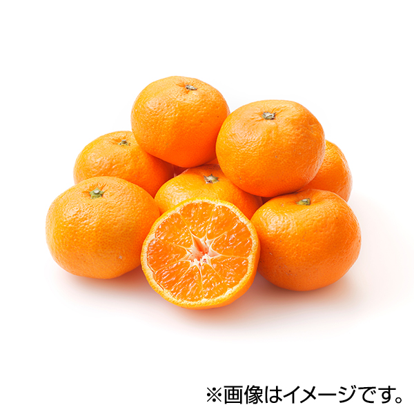 みかん 商品画像 (メイン)