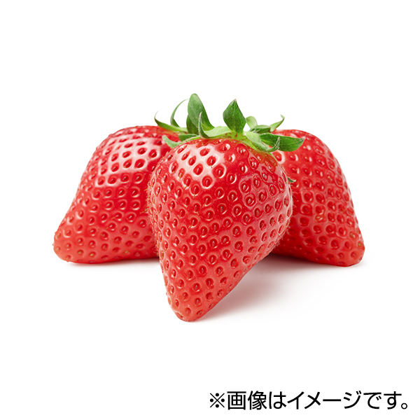 いちご 商品画像 (メイン)