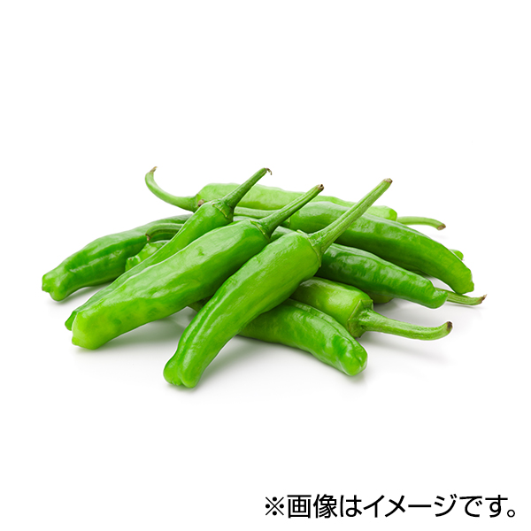 ししとう 商品画像 (メイン)