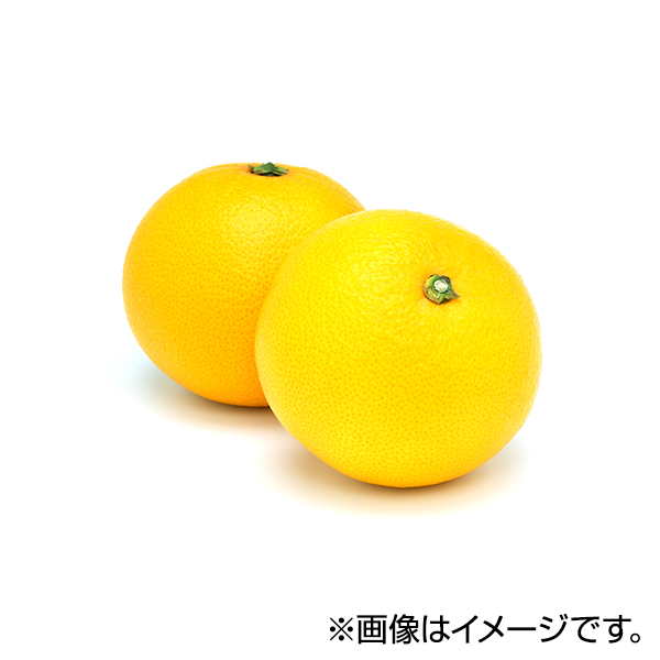 はっさく 商品画像 (メイン)