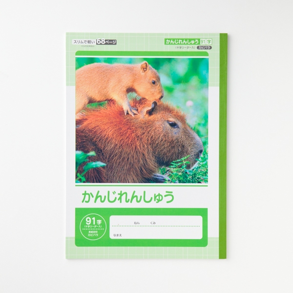 かんじれんしゅう91字十字リーダー入 商品画像 (メイン)