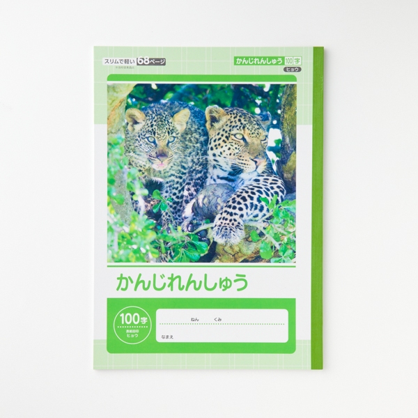 かんじれんしゅう100字 商品画像 (メイン)