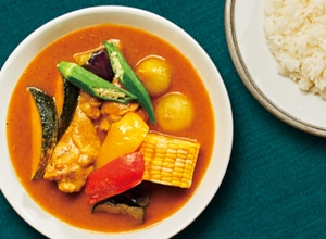 夏野菜たっぷりの印度風スープカレー イオンのプライベートブランド Topvalu トップバリュ