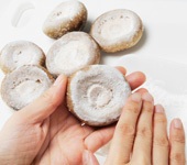 STEP1 作り方イメージ