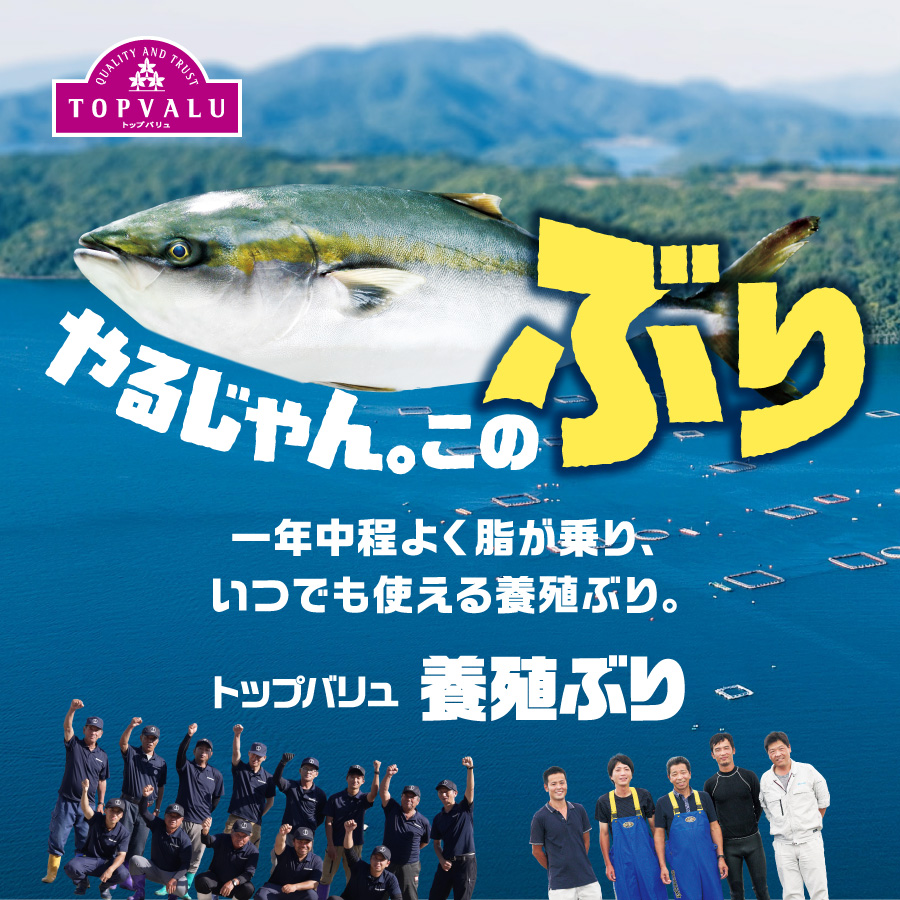 一年中脂乗りがよく、いつでもまるで旬のぶり。使い勝手抜群です。