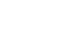 Fruits & Cereal Bite