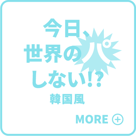 今日、世界のパしない!? 韓国風