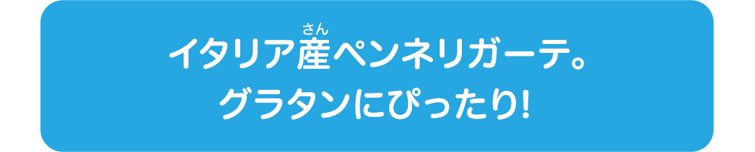 イタリア産ペンネリガーテ。グラタンにぴったり！