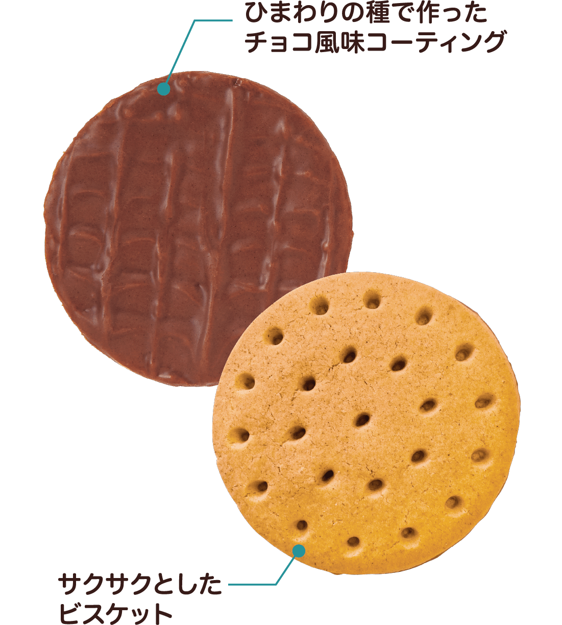 ひまわりの種で作ったチョコ風味コーティング サクサクとしたビスケット