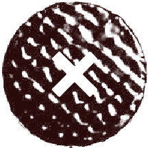 ✕