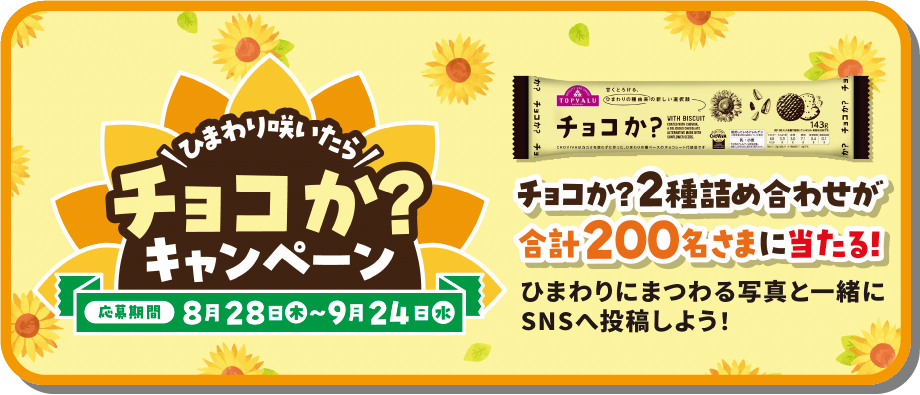 ＼ひまわり咲いたら／ チョコか? キャンペーン  応募期間 8月28日(木)～9月24日(水) チョコか？ 2種詰め合わせが合計200名さまに当たる! ひまわりにまつわる写真と一緒にSNSへ投稿しよう!