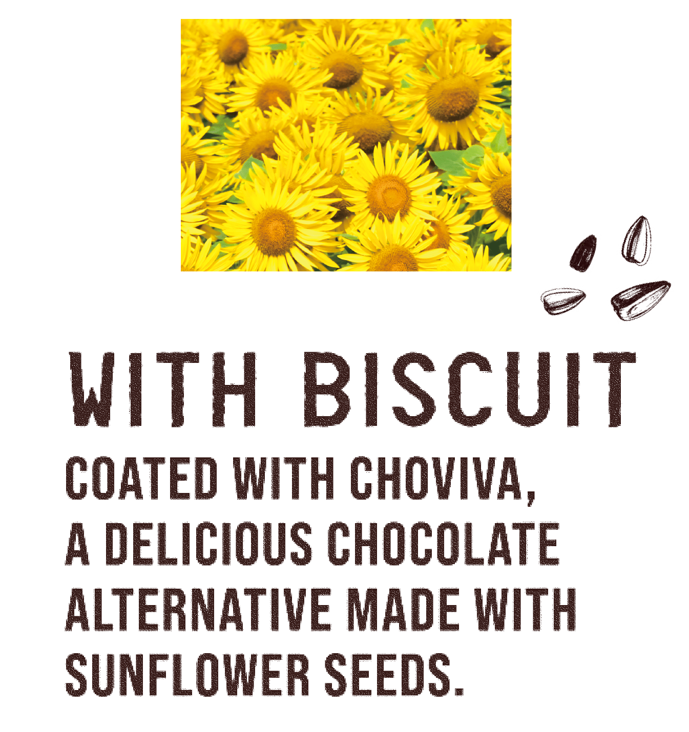 WITH BISCUIT  COATED WITH CHOVIVA, A DELICIOUS CHOCOLATE ALTERNATIVE MADE WITH SUNFLOWER SEEDS.