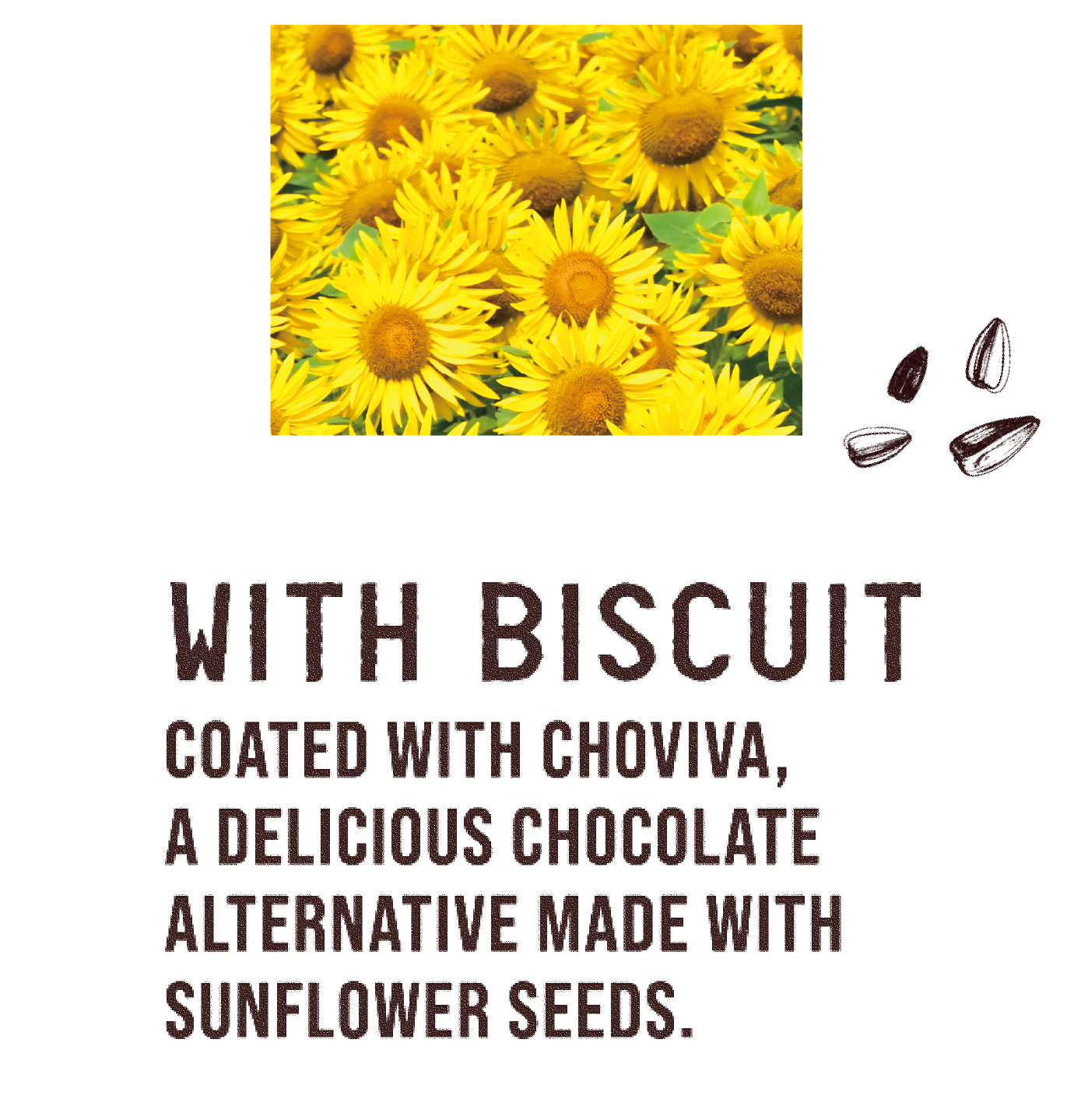 WITH BISCUIT  COATED WITH CHOVIVA, A DELICIOUS CHOCOLATE ALTERNATIVE MADE WITH SUNFLOWER SEEDS.