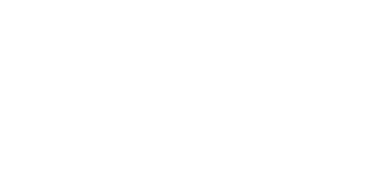 指令