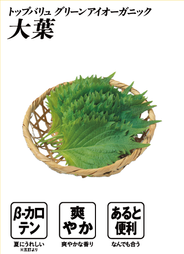 トップバリュ グリーンアイオーガニック 大葉  β-カロテン:夏にうれしい※五訂より 爽やか:爽やかな香り あると便利:なんでも合う