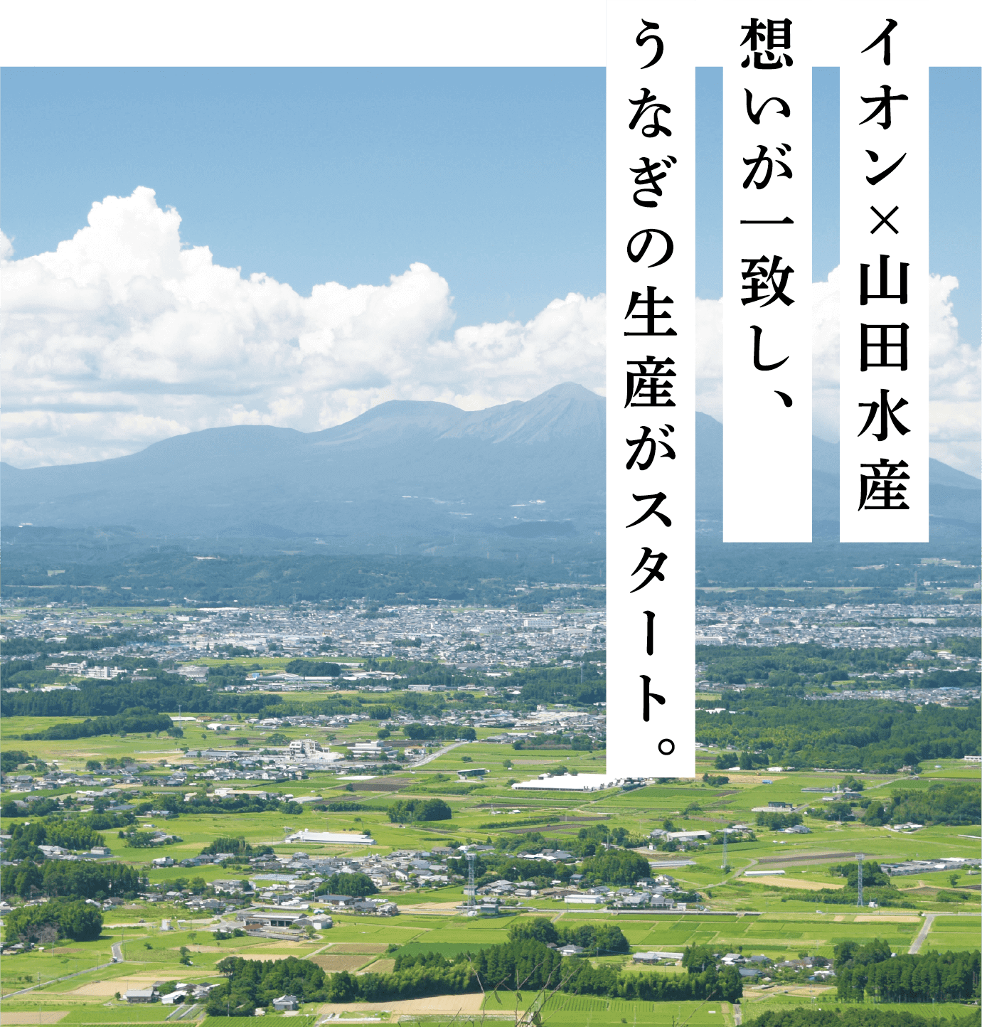 イオン×山田水産 想いが一致し、うなぎの生産がスタート。