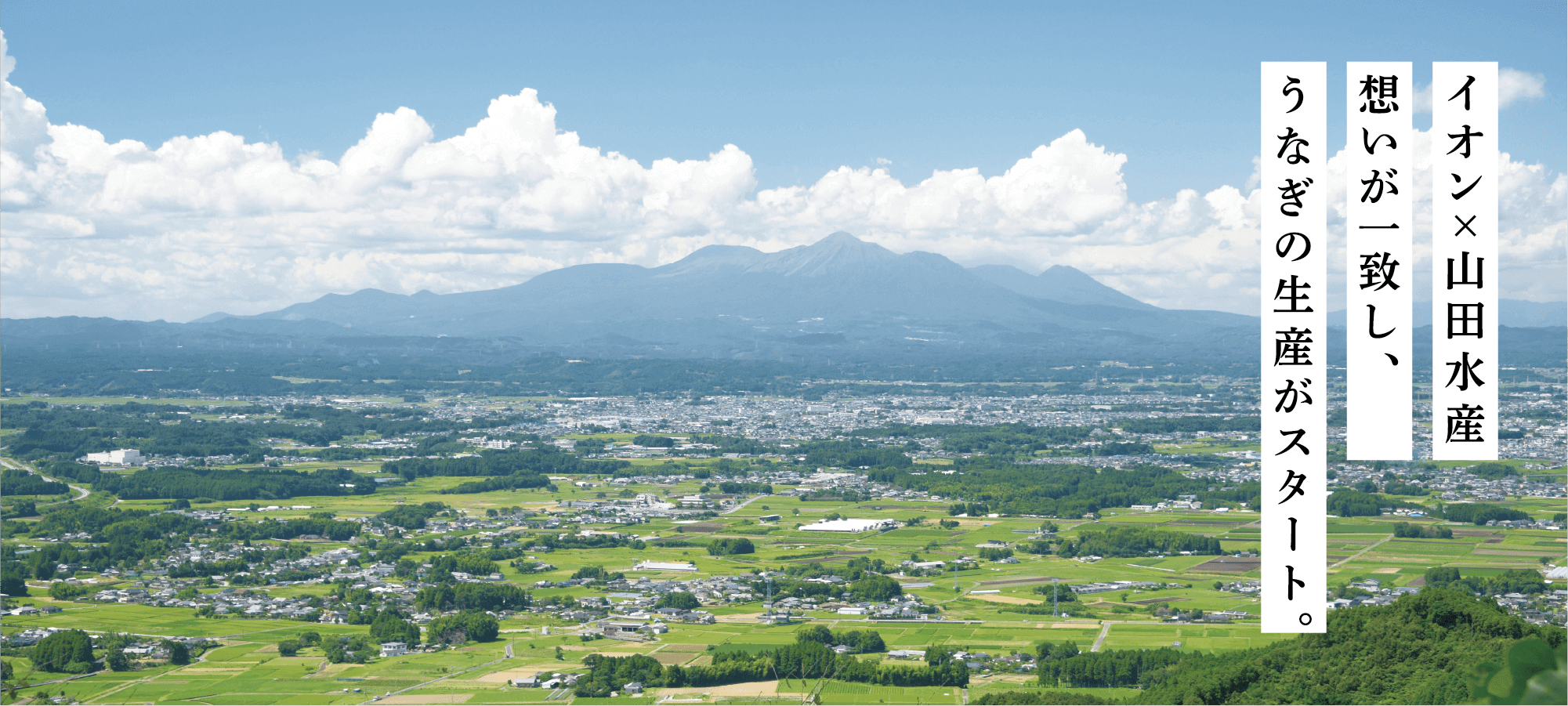 イオン×山田水産 想いが一致し、うなぎの生産がスタート。