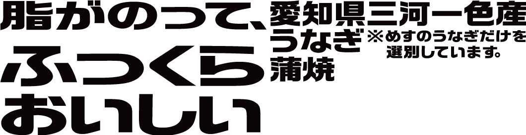 脂がのって、ふっくらおいしい 愛知県三河一色産 うなぎ蒲焼 ※めすのうなぎだけを選別しています