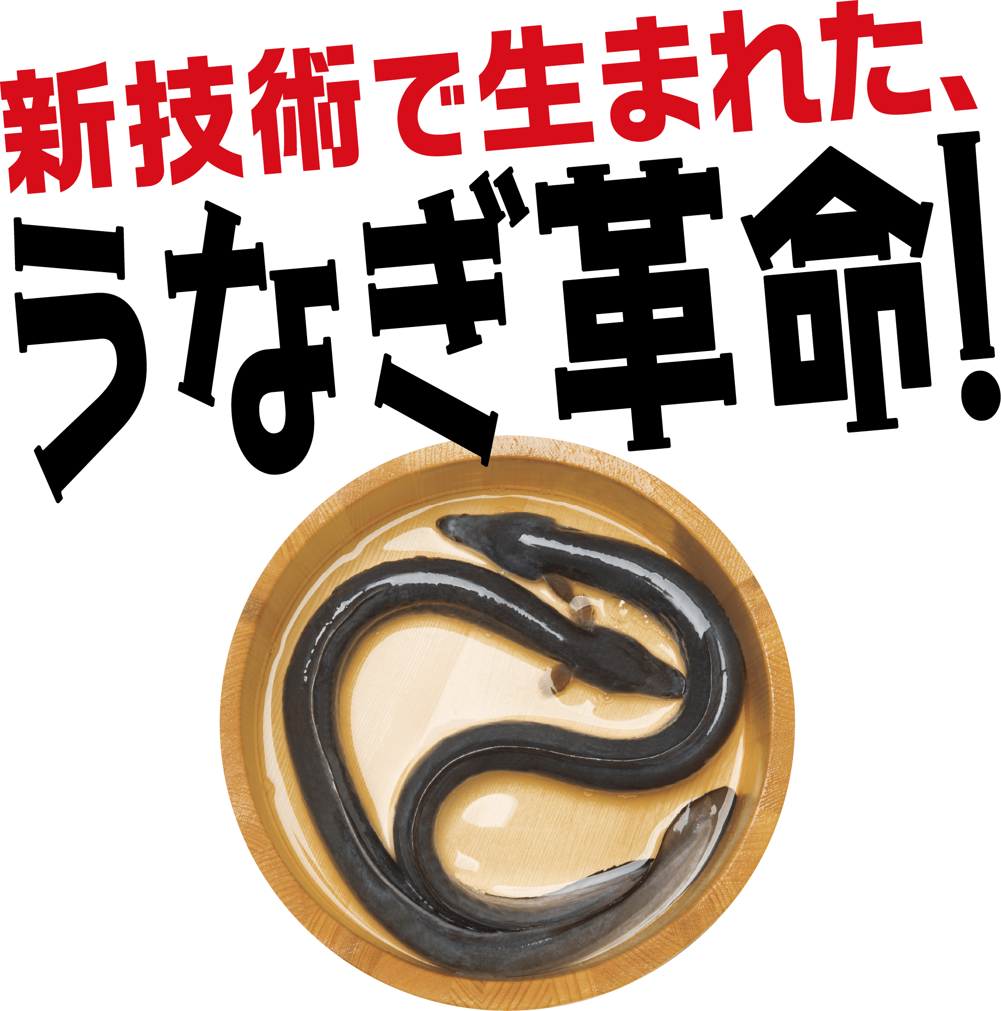 新技術で生まれた、うなぎ革命