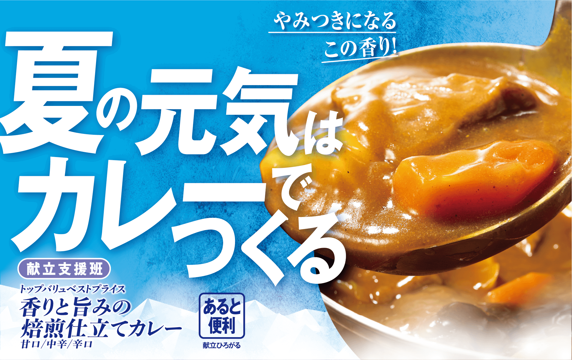 やみつきになるこの香り! 夏の元気はカレーでつくる 献立支援班 トップバリュベストプライス 香りと旨みの焙煎仕立てカレー 甘口/中辛/辛口 あると便利:献立ひろがる