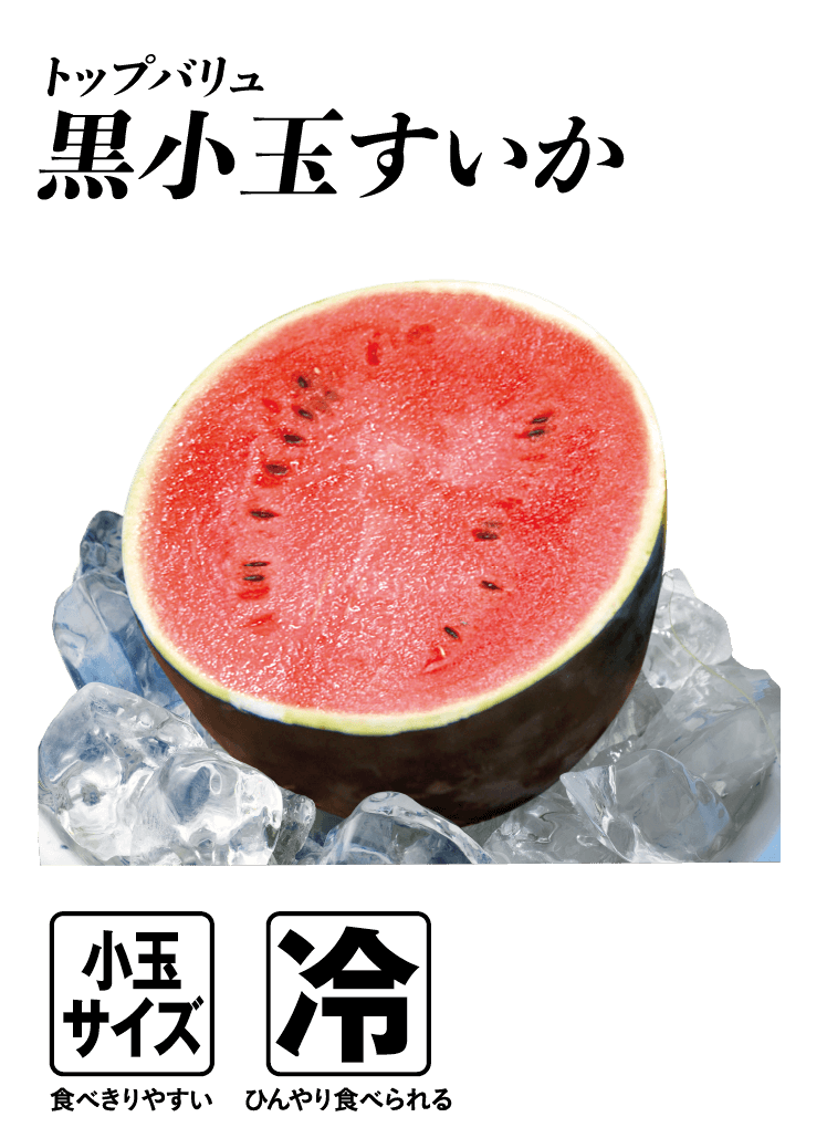 トップバリュ 小玉すいか  小玉サイズ:食べきりやすい 冷:ひんやり食べられる