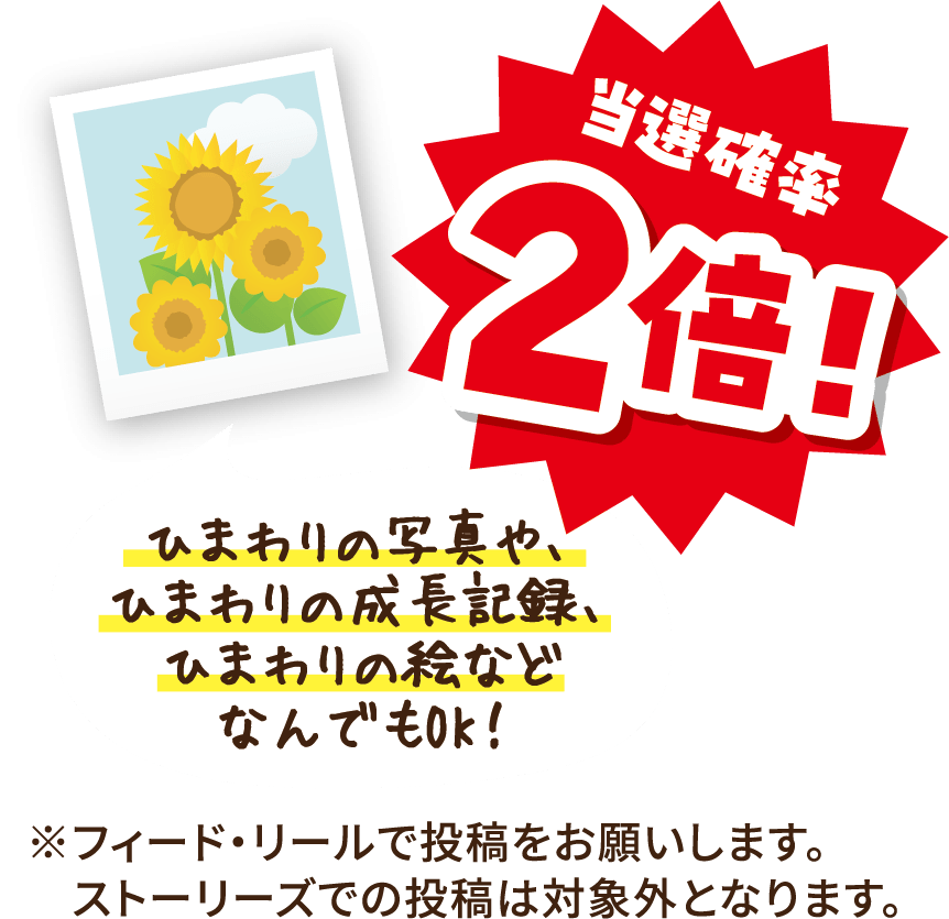 当選確率2倍 ひまわりの写真や、ひまわりの成長記録、ひまわりの絵などなんでもOK！※フィード・リール投稿をお願いします。ストーリーズでの投稿は対象外となります。