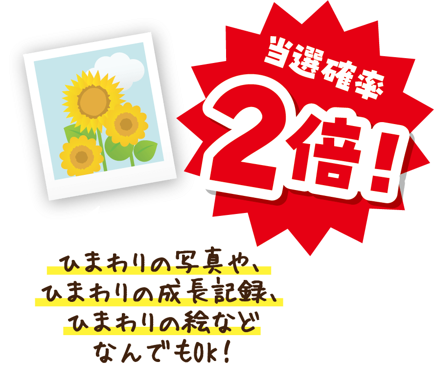 当選確率2倍 ひまわりの写真や、ひまわりの成長記録、ひまわりの絵などなんでもOK！