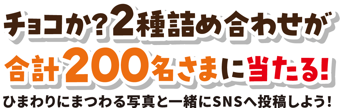 チョコか？2種詰め合わせが合計200名さまに当たる！ ひまわりにまつわる写真と一緒にSNSへ投稿しよう！