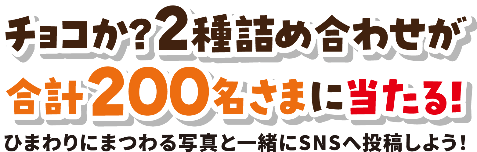 チョコか？2種詰め合わせが合計200名さまに当たる！ ひまわりにまつわる写真と一緒にSNSへ投稿しよう！