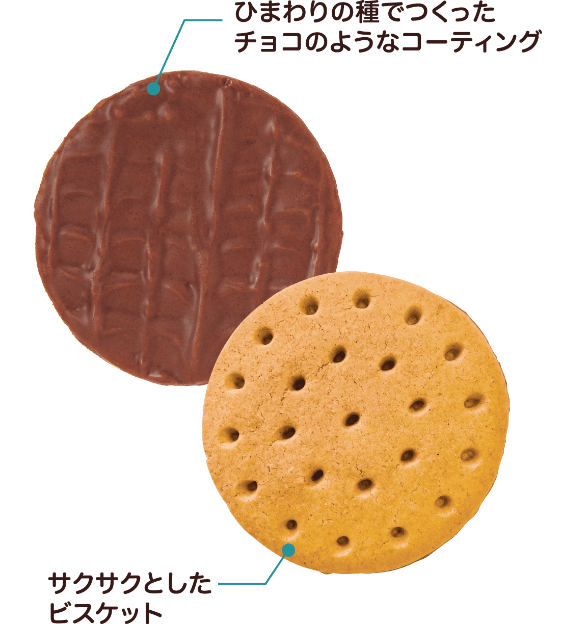 ひまわりの種でつくったチョコのようなコーティング サクサクとしたビスケット