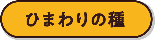 ひまわりの種