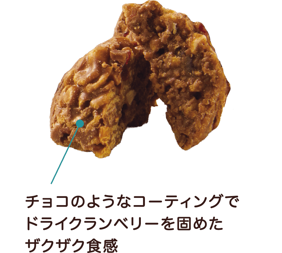 チョコのようなコーティングでドライクランベリーを固めたザクザク食感