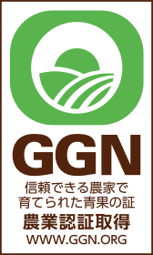 GGNロゴ